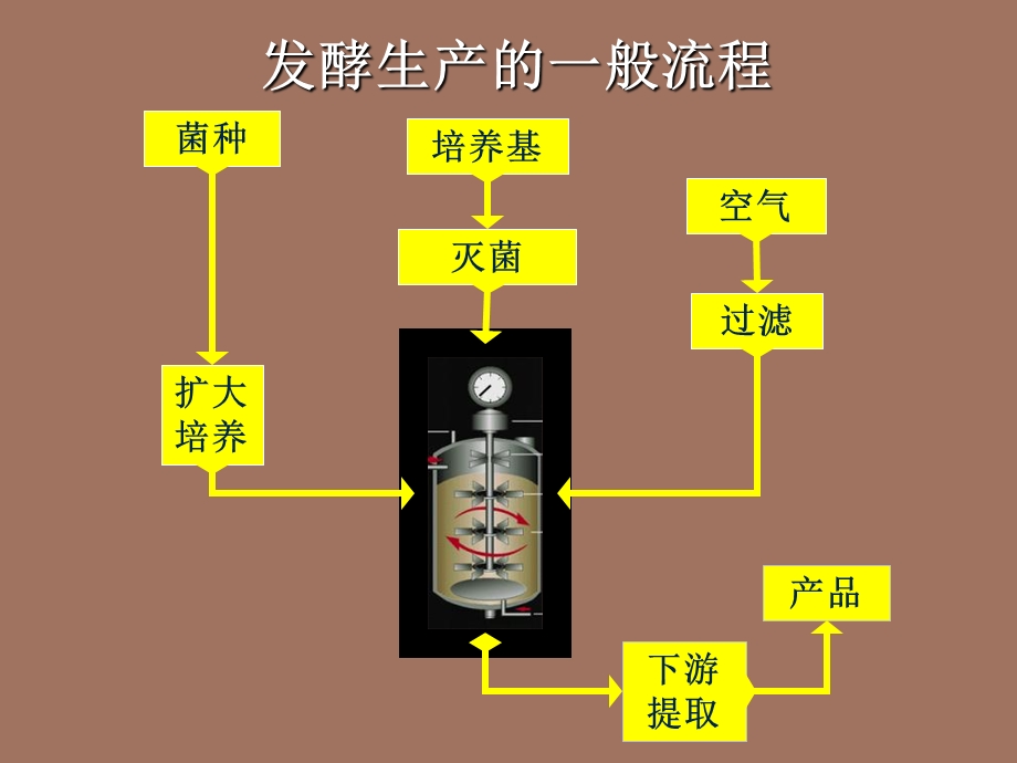 培养基设计上.ppt_第2页