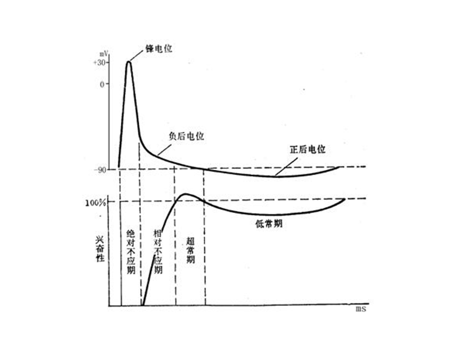 培优讲堂-神经电位测量与电流计指针偏转问题分析.ppt_第2页