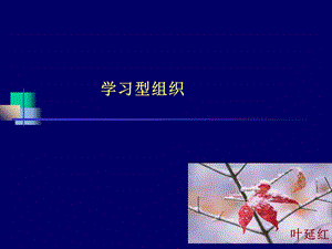 学习型组织的实践与变革管理.ppt