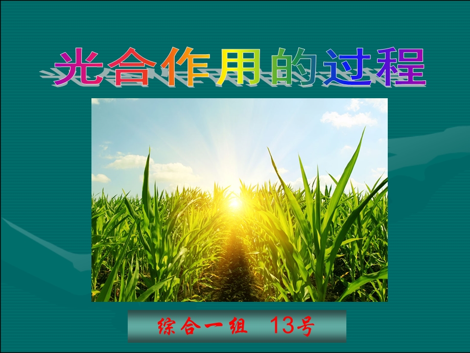 光合作用讲+说课课件一等奖.ppt_第1页