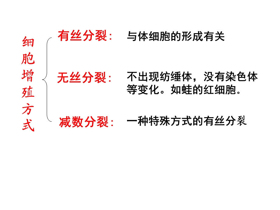 减数分裂与有丝分裂的比较PPT.ppt_第2页