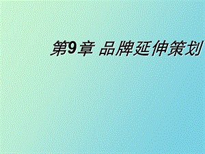 品牌延伸策划.ppt