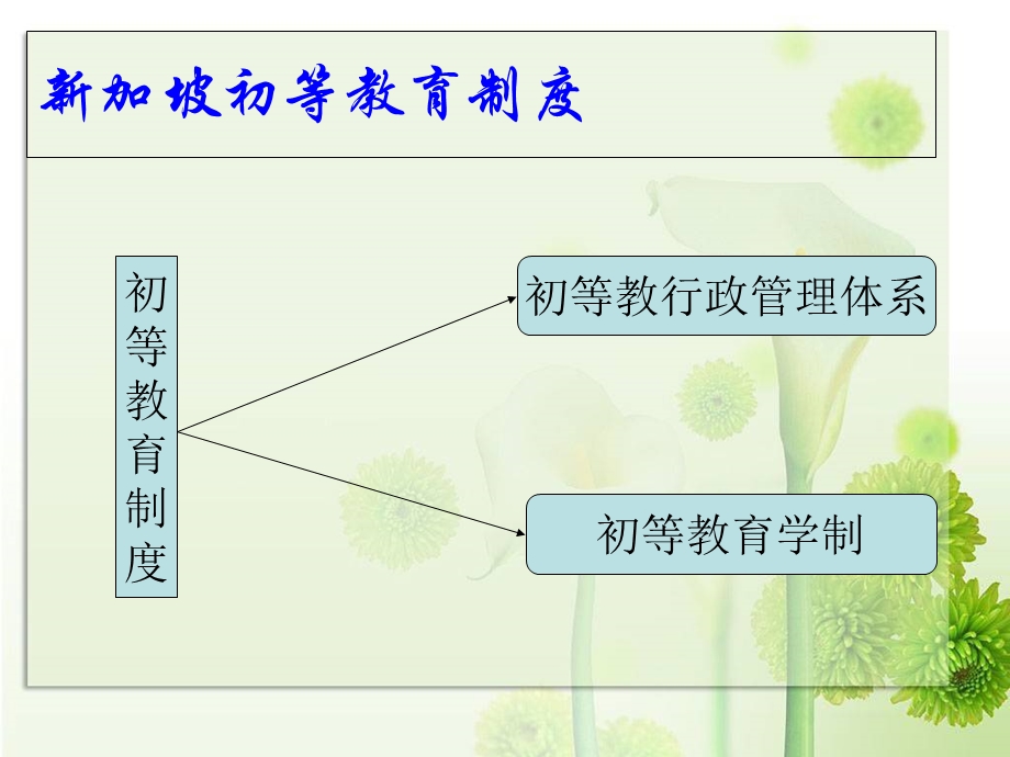 加坡初等教育制度最终版.ppt_第2页