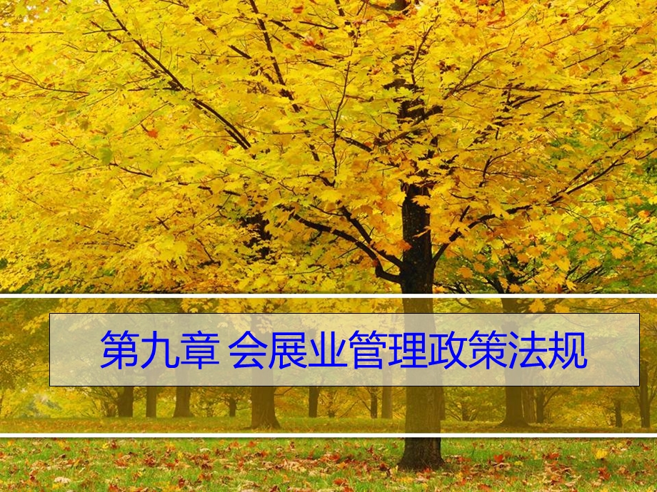 会展业管理政策法规.ppt_第1页