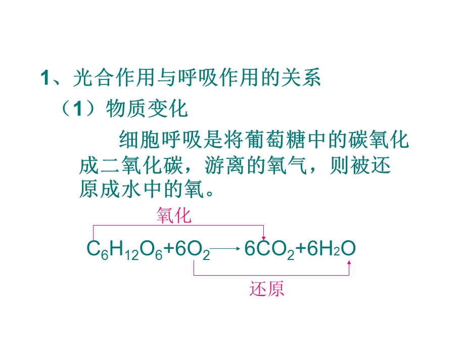 光合作用与呼吸作用的关系.ppt_第2页