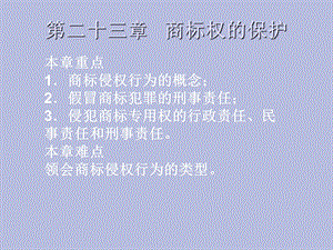 商标权的保护.ppt