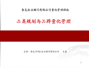 品类规划与品牌量化.ppt