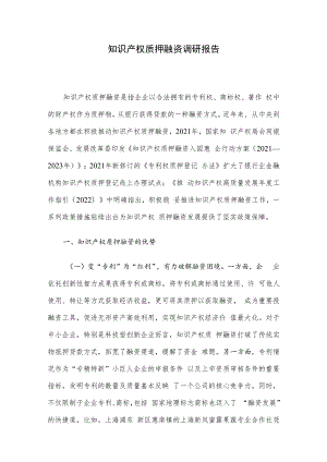 知识产权质押融资调研报告.docx