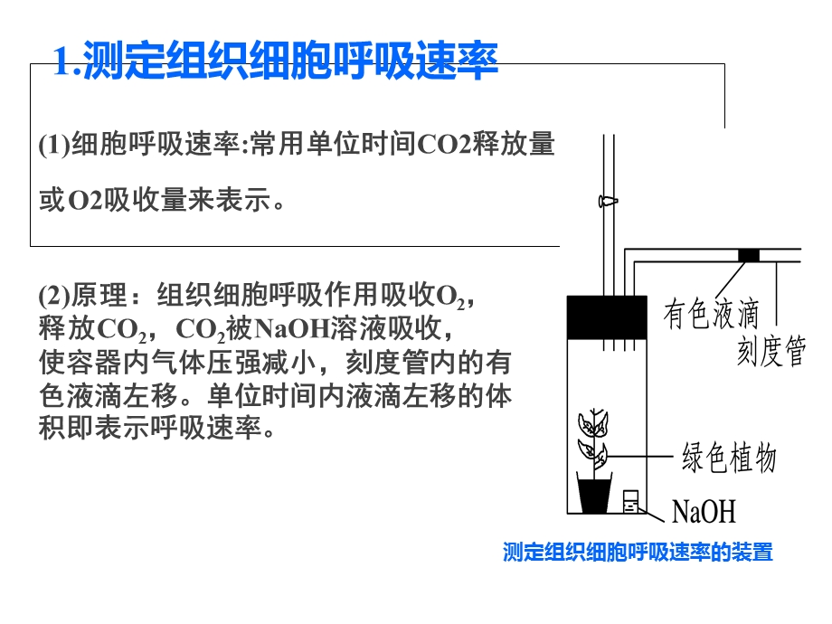 光合速率与呼吸速率的测定.ppt_第2页