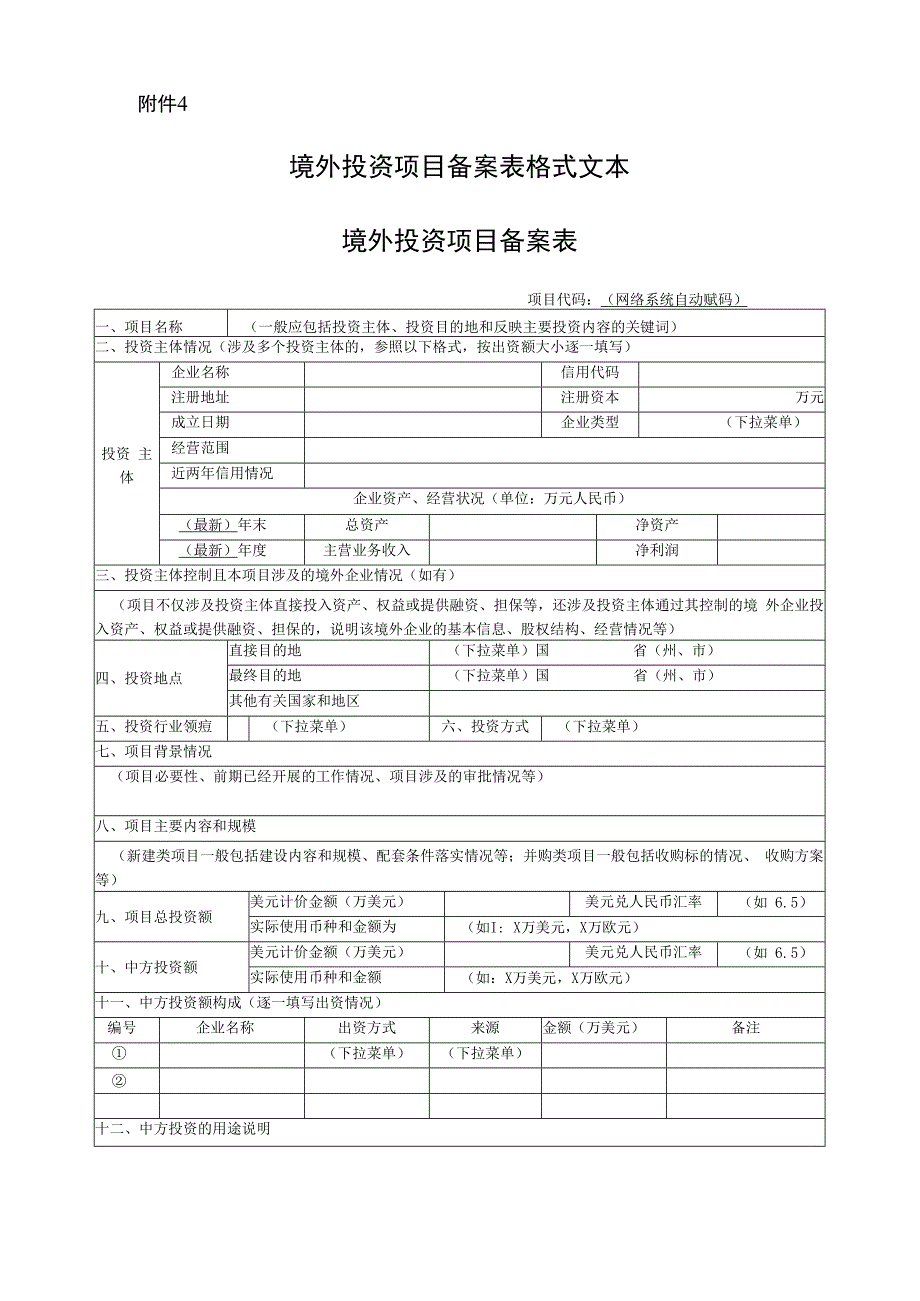 境外投资项目申报材料模板.docx_第1页