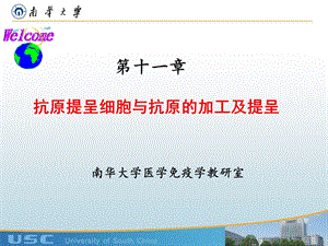 医学免疫学-APC与抗原的加工及提呈.ppt