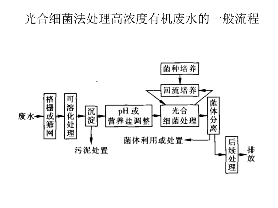 光合细菌法处理高浓度有机废水工艺.ppt_第3页