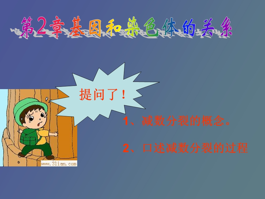 卵细胞形成过程.ppt_第1页