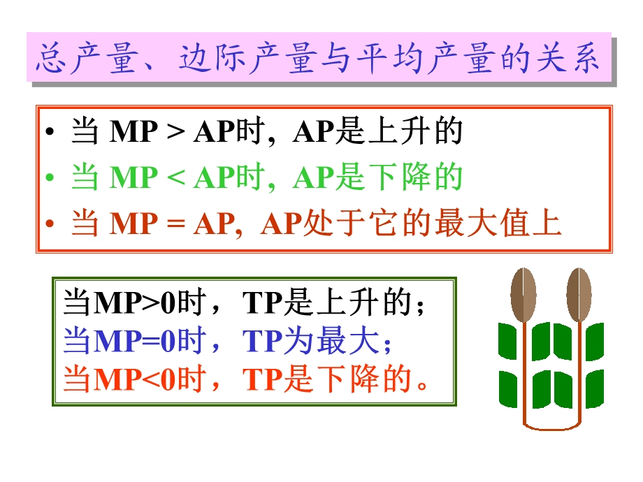 南开大学MBA课件之-项目管理.ppt_第2页