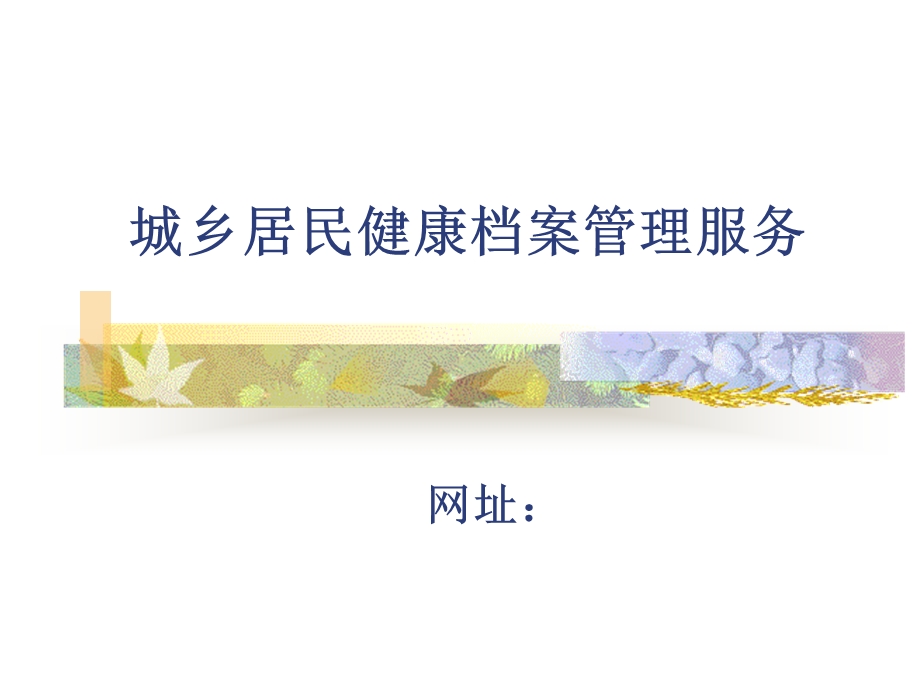 健康档案的建立与管理.ppt_第1页