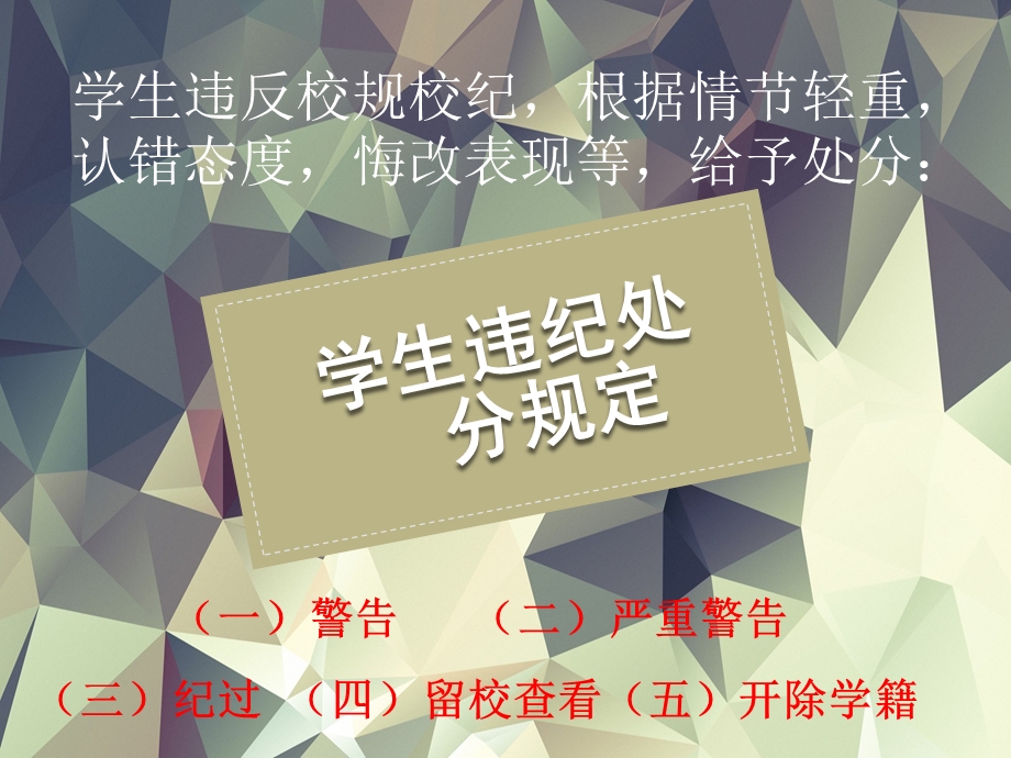 学习学生手册.ppt_第3页