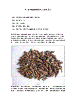 常用中药香附性状及显微鉴别.docx