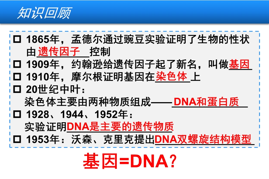 基因是有遗传效应的DNA片段上课版(PPT).ppt_第2页