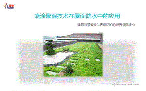 喷涂聚脲技术在屋面防水工程中的应.ppt