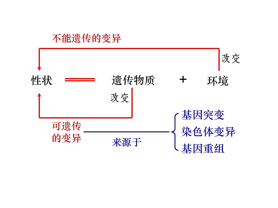 基因突变及其他变异(复习课件).ppt_第3页