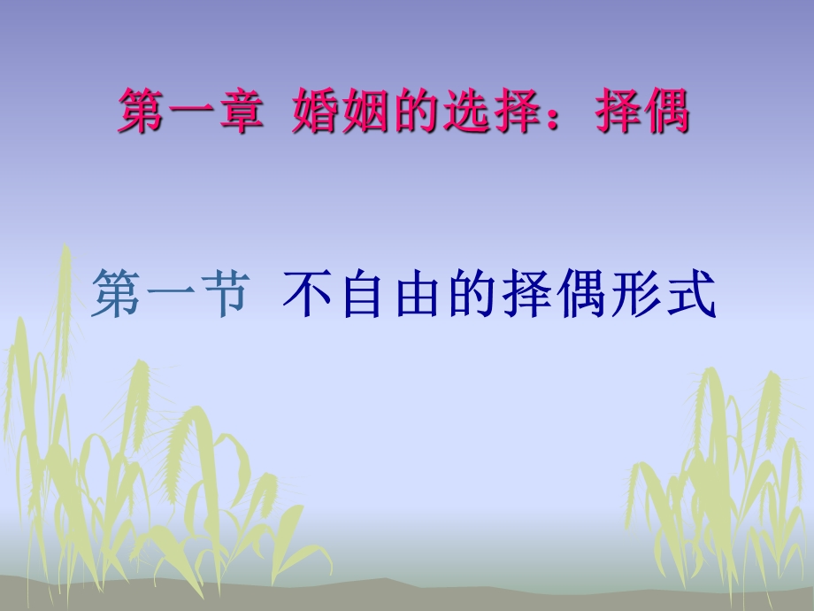 婚姻的选择：择偶.ppt_第1页