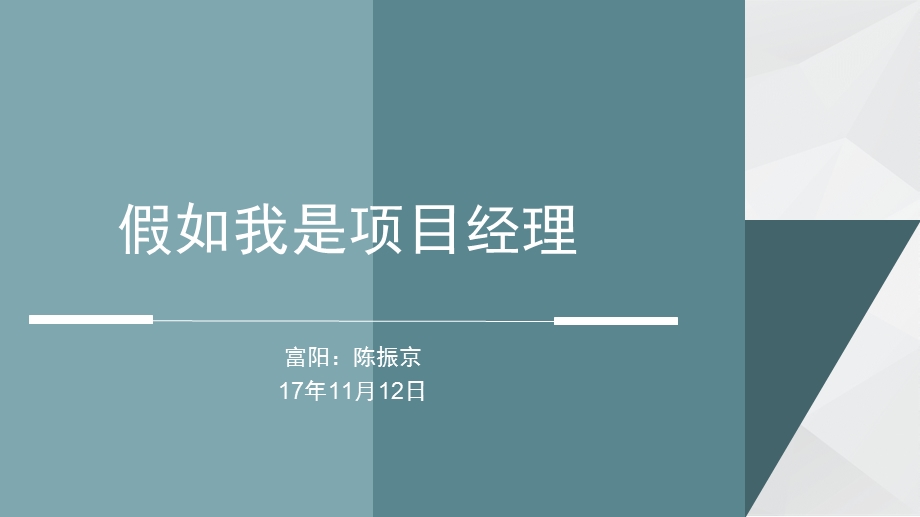 假如我是项目经理.ppt_第1页