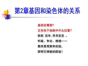 减数分裂和受精作用精品课件.ppt