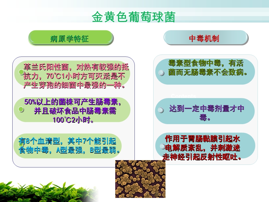 呕吐为主食物中毒流行病学.ppt_第3页