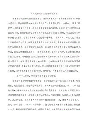 深入践行总体安全观体会发言.docx