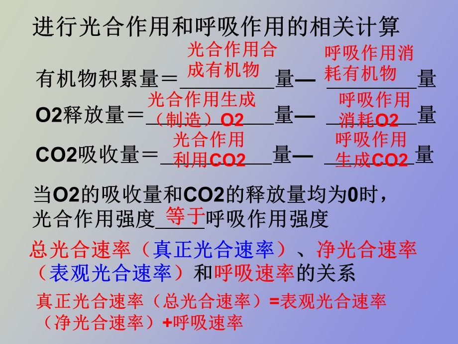 光合作用与影响因素.ppt_第3页