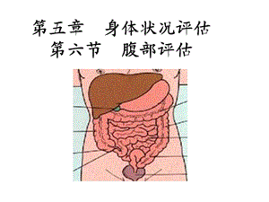 健康评估第五章身体状况评估第六节腹部评估公开.ppt