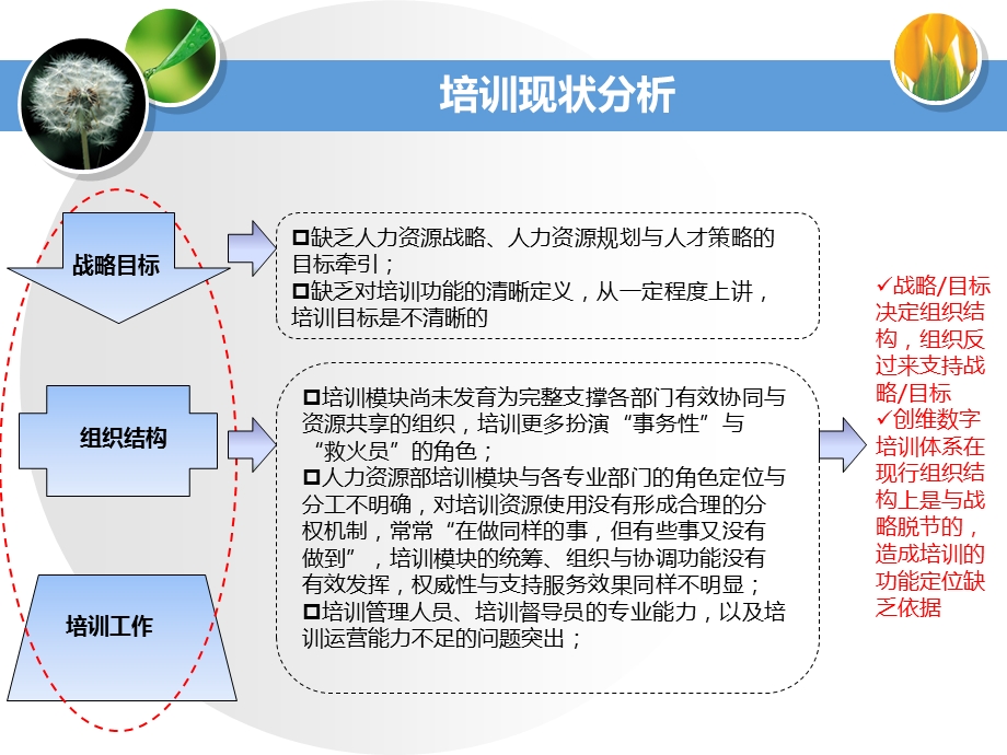 培训体系设计思路与方案.ppt_第3页