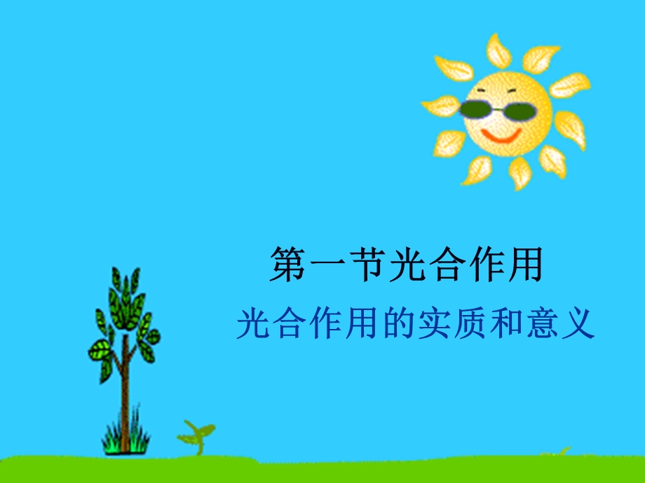 光合作用实质和意义.ppt_第1页