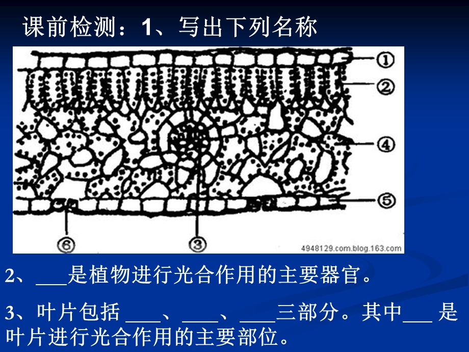 光合作用实质和意义.ppt_第2页