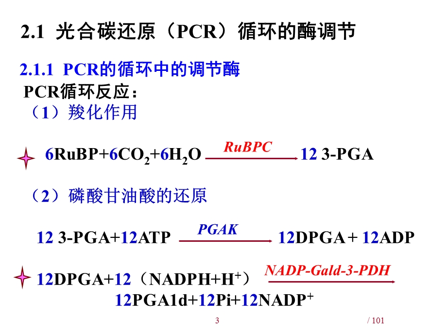 光合作用的有关机理-王学奎.ppt_第3页