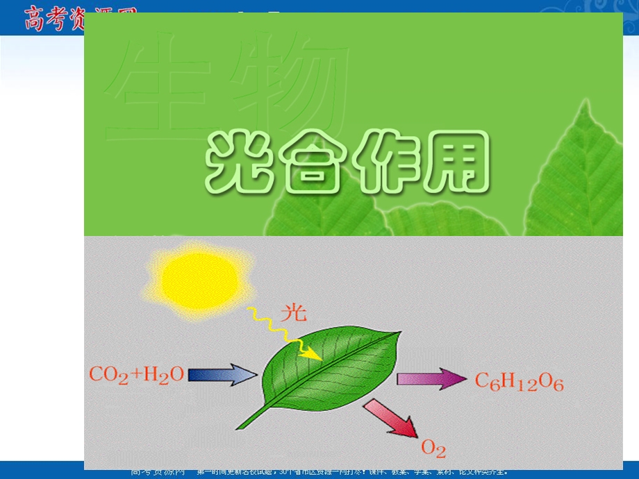 光合作用和细胞呼吸复习.ppt_第1页