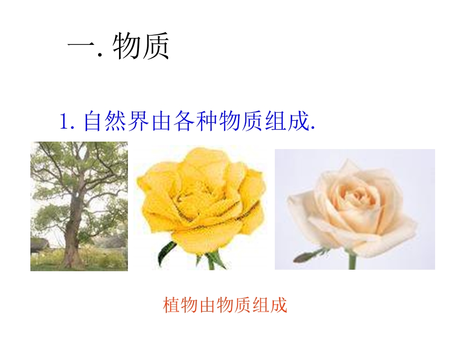 几个重要的科学概念课件.ppt_第2页