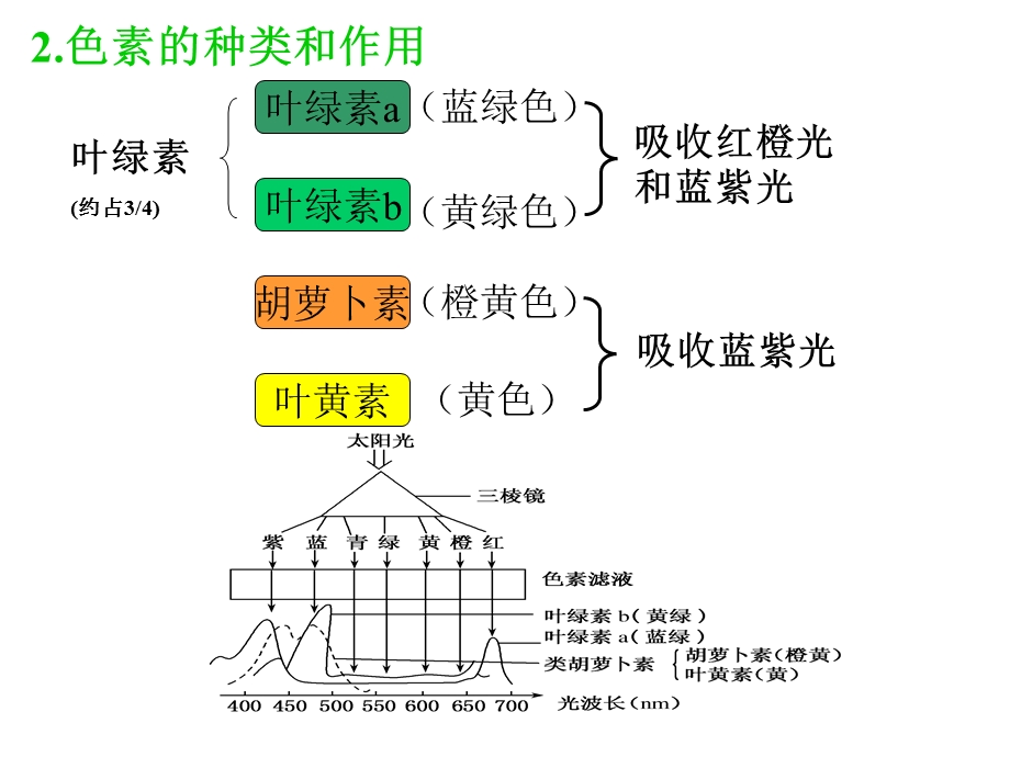 光合作用(第一课时)叶绿全及色素.ppt_第2页