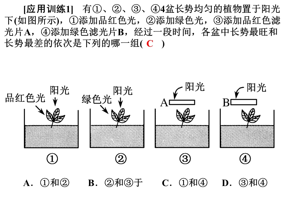 光合作用(第一课时)叶绿全及色素.ppt_第3页