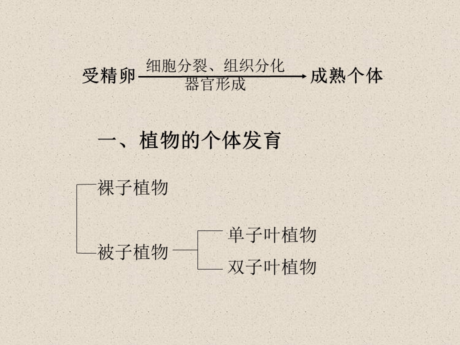 卵细胞1个受精作用受精卵发育胚精子.ppt_第2页