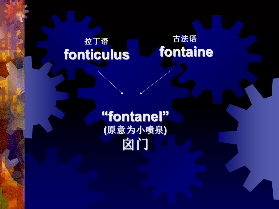 囟门发育的临床意义.ppt_第3页