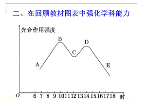 光合作用中的图形分析.ppt