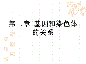 减数分裂和受精作用PPT课件.ppt