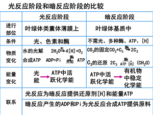 光合作用原理应用.ppt