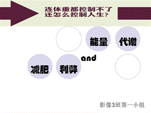 减肥与能量代谢.ppt