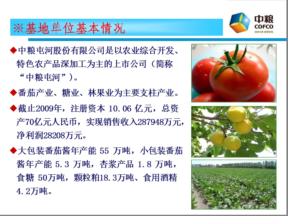 加工番茄机械化栽培示范推广基地.ppt_第3页