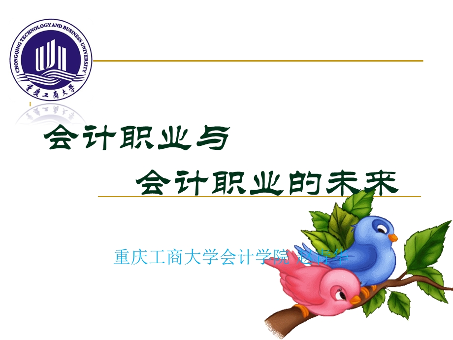 会计职业与会计职业的未来 (I).ppt_第1页