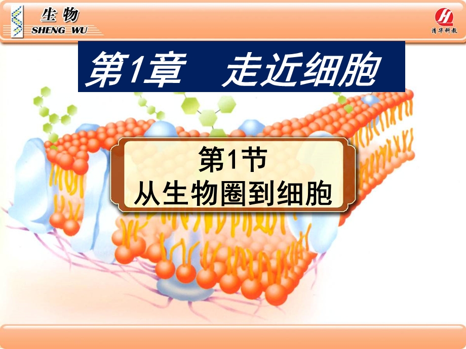 培训资料-从生物圈到细胞.ppt_第1页