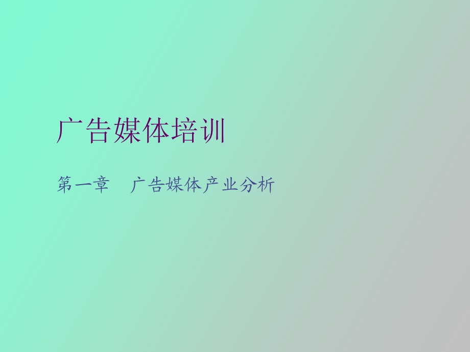 媒体购买实务.ppt_第3页