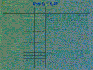 培养基的配制.ppt